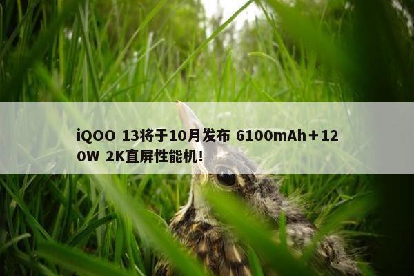 iQOO 13将于10月发布 6100mAh＋120W 2K直屏性能机！