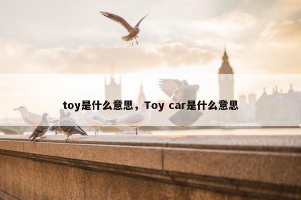 toy是什么意思，Toy car是什么意思