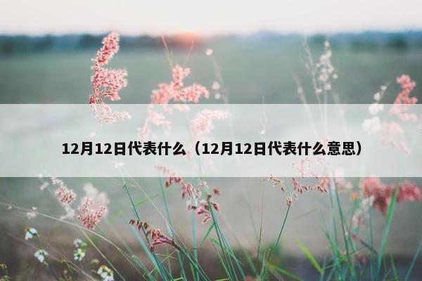 12月12日代表什么（12月12日代表什么意思）