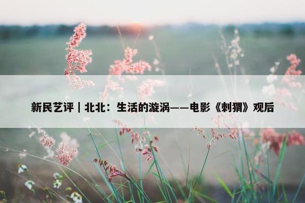 新民艺评｜北北：生活的漩涡——电影《刺猬》观后