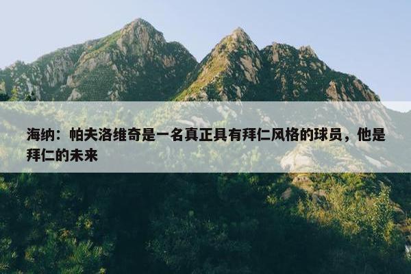 海纳：帕夫洛维奇是一名真正具有拜仁风格的球员，他是拜仁的未来