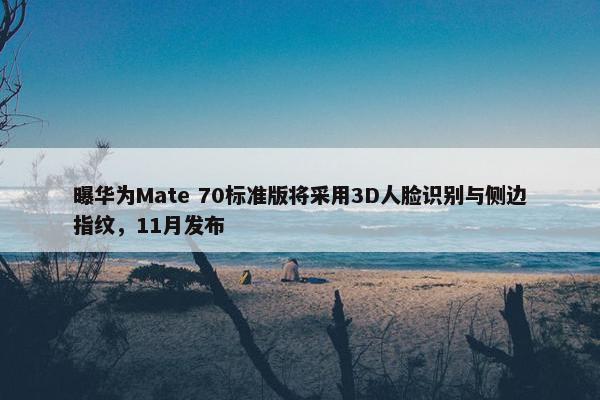 曝华为Mate 70标准版将采用3D人脸识别与侧边指纹，11月发布