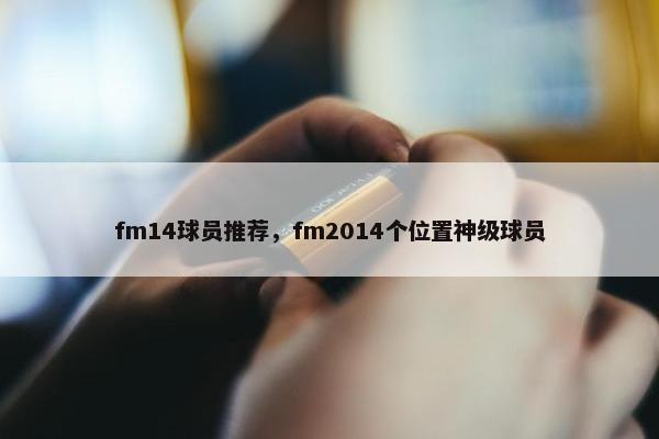 fm14球员推荐，fm2014个位置神级球员