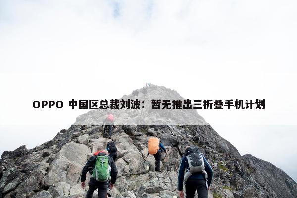 OPPO 中国区总裁刘波：暂无推出三折叠手机计划