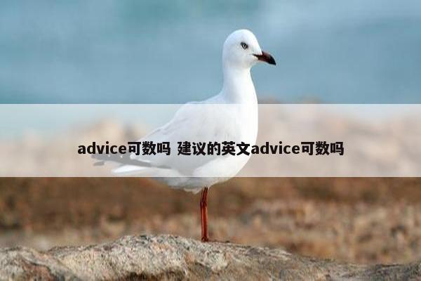 advice可数吗 建议的英文advice可数吗