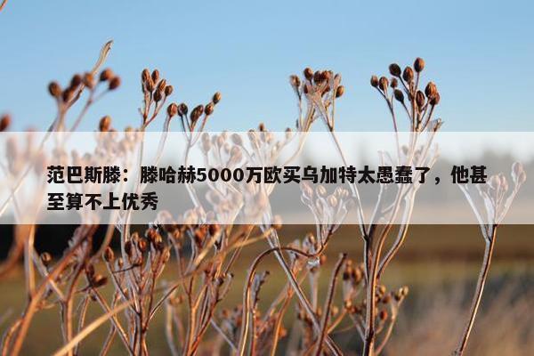 范巴斯滕：滕哈赫5000万欧买乌加特太愚蠢了，他甚至算不上优秀