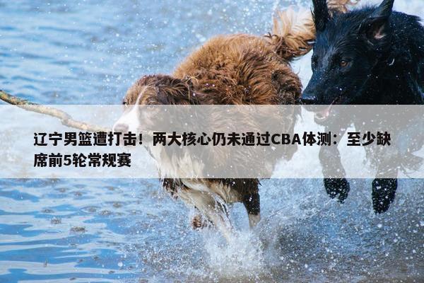 辽宁男篮遭打击！两大核心仍未通过CBA体测：至少缺席前5轮常规赛