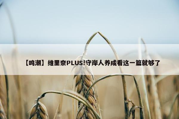 【鸣潮】维里奈PLUS!守岸人养成看这一篇就够了