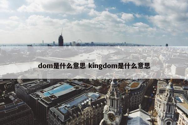 dom是什么意思 kingdom是什么意思