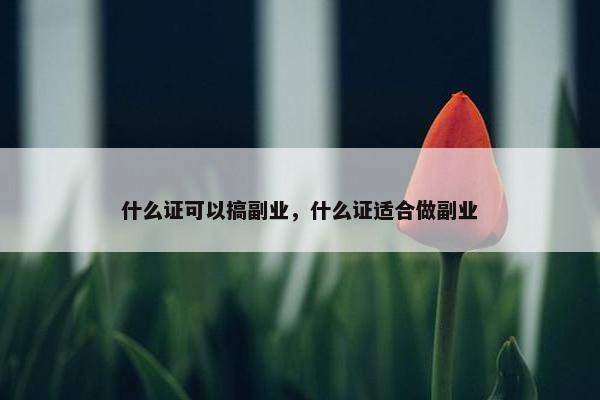 什么证可以搞副业，什么证适合做副业