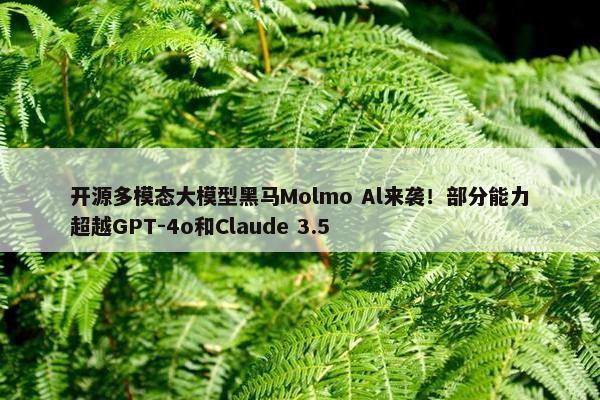 开源多模态大模型黑马Molmo Al来袭！部分能力超越GPT-4o和Claude 3.5