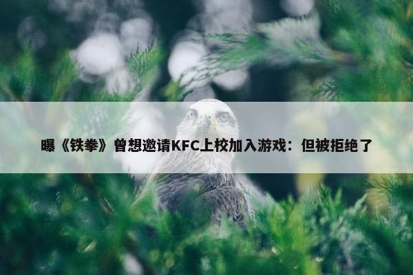 曝《铁拳》曾想邀请KFC上校加入游戏：但被拒绝了