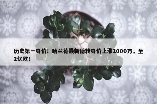 历史第一身价！哈兰德最新德转身价上涨2000万，至2亿欧！