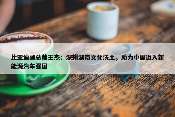 比亚迪副总裁王杰：深耕湖南文化沃土，助力中国迈入新能源汽车强国