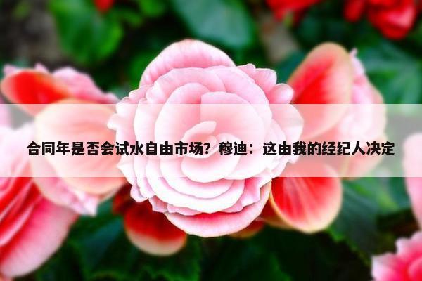 合同年是否会试水自由市场？穆迪：这由我的经纪人决定