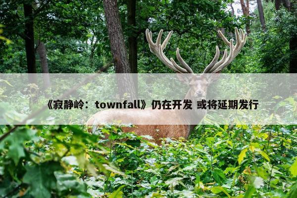 《寂静岭：townfall》仍在开发 或将延期发行