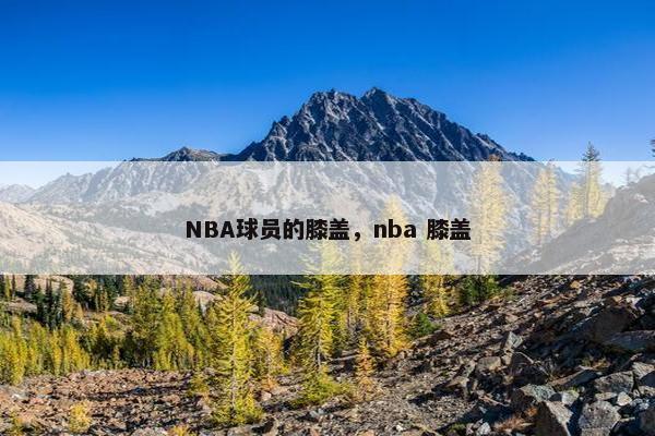 NBA球员的膝盖，nba 膝盖