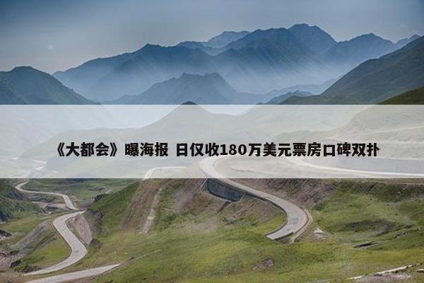 《大都会》曝海报 日仅收180万美元票房口碑双扑