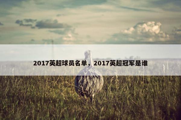 2017英超球员名单，2017英超冠军是谁