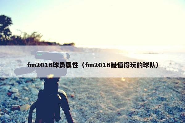 fm2016球员属性（fm2016最值得玩的球队）