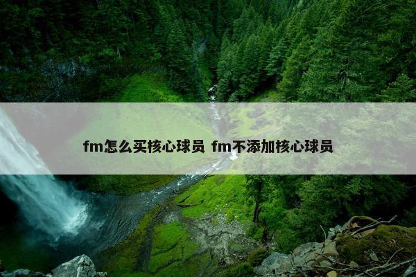 fm怎么买核心球员 fm不添加核心球员