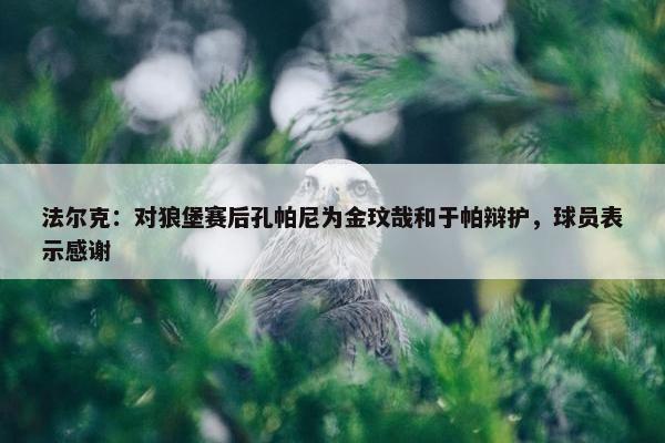 法尔克：对狼堡赛后孔帕尼为金玟哉和于帕辩护，球员表示感谢