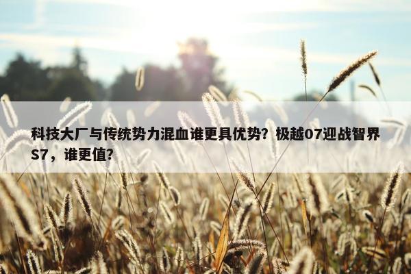 科技大厂与传统势力混血谁更具优势？极越07迎战智界S7，谁更值？