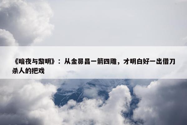 《暗夜与黎明》：从金昴昌一箭四雕，才明白好一出借刀杀人的把戏