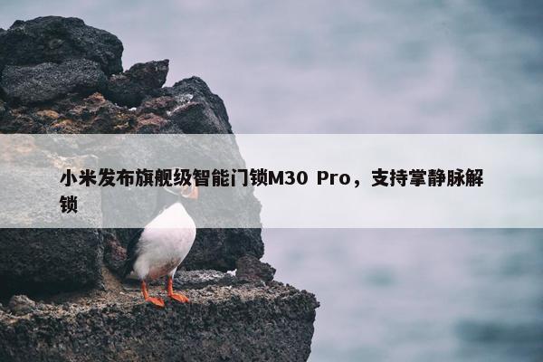 小米发布旗舰级智能门锁M30 Pro，支持掌静脉解锁