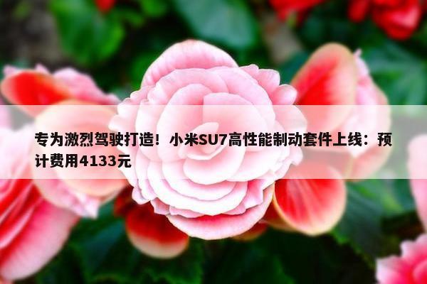 专为激烈驾驶打造！小米SU7高性能制动套件上线：预计费用4133元