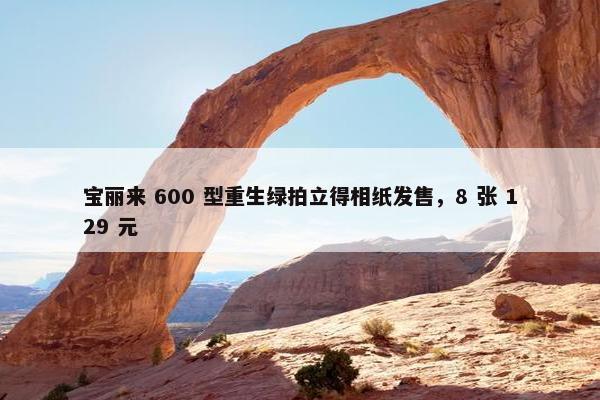 宝丽来 600 型重生绿拍立得相纸发售，8 张 129 元