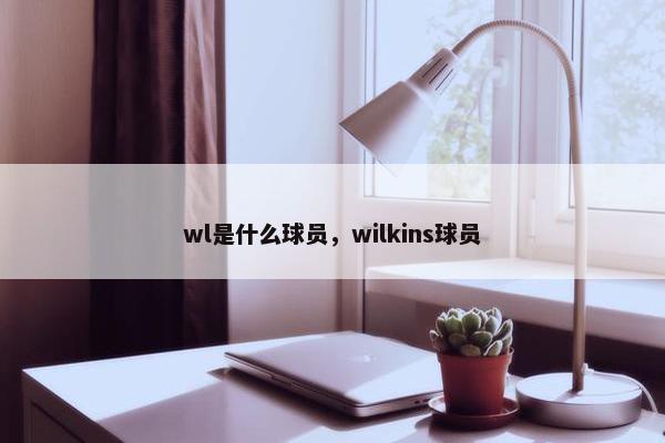 wl是什么球员，wilkins球员