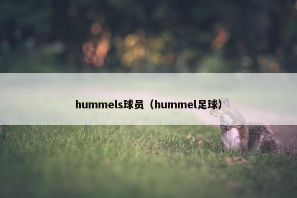 hummels球员（hummel足球）