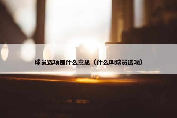 球员选项是什么意思（什么叫球员选项）