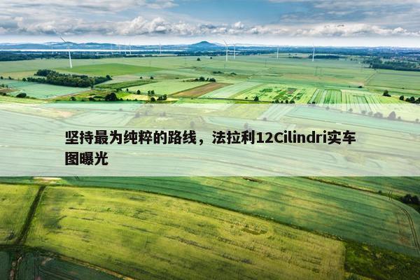 坚持最为纯粹的路线，法拉利12Cilindri实车图曝光