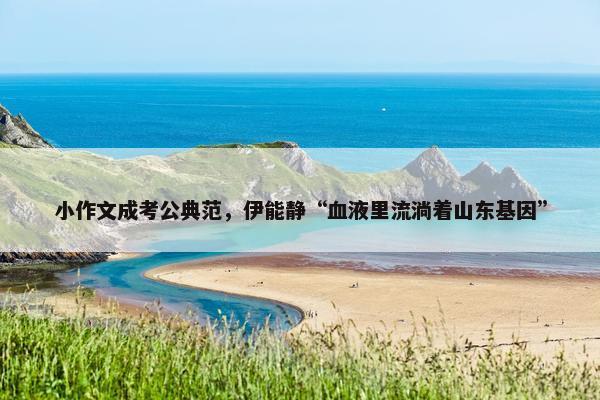 小作文成考公典范，伊能静“血液里流淌着山东基因”