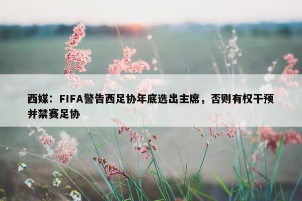 西媒：FIFA警告西足协年底选出主席，否则有权干预并禁赛足协