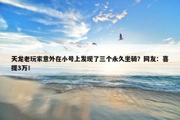 天龙老玩家意外在小号上发现了三个永久坐骑？网友：喜提3万！