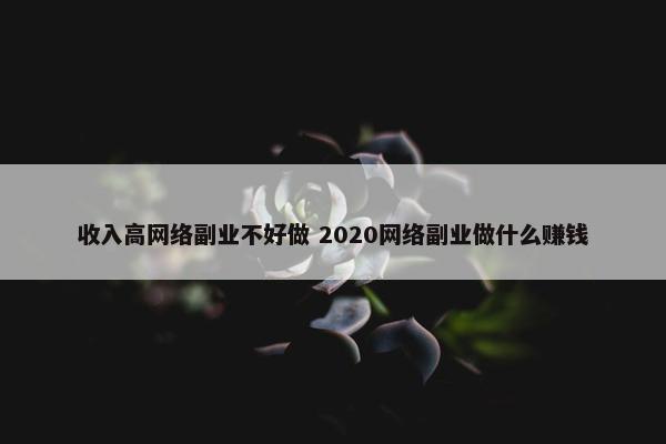 收入高网络副业不好做 2020网络副业做什么赚钱