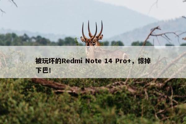 被玩坏的Redmi Note 14 Pro+，惊掉下巴！