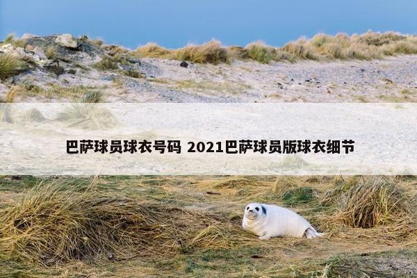 巴萨球员球衣号码 2021巴萨球员版球衣细节