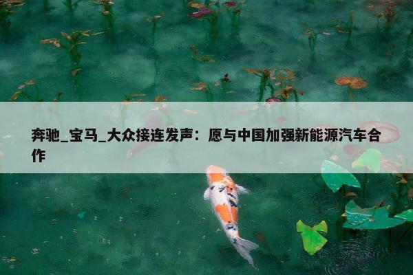 奔驰_宝马_大众接连发声：愿与中国加强新能源汽车合作