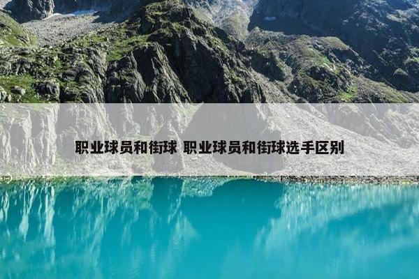 职业球员和街球 职业球员和街球选手区别