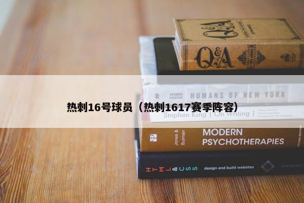 热刺16号球员（热刺1617赛季阵容）