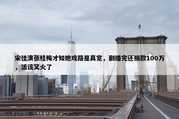 宋佳演张桂梅才知她戏路是真宽，剧播完还捐款100万，活该又火了