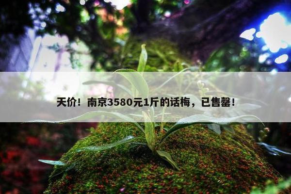 天价！南京3580元1斤的话梅，已售罄！