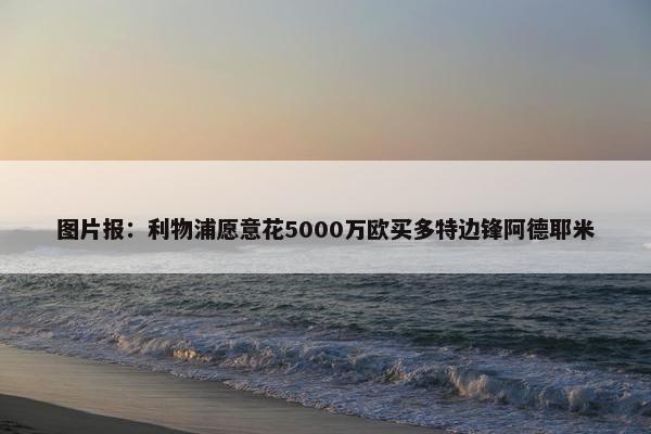 图片报：利物浦愿意花5000万欧买多特边锋阿德耶米