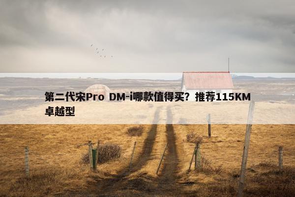 第二代宋Pro DM-i哪款值得买？推荐115KM卓越型