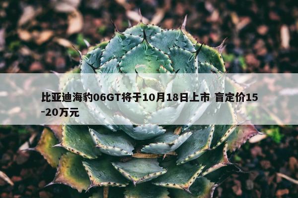 比亚迪海豹06GT将于10月18日上市 盲定价15-20万元