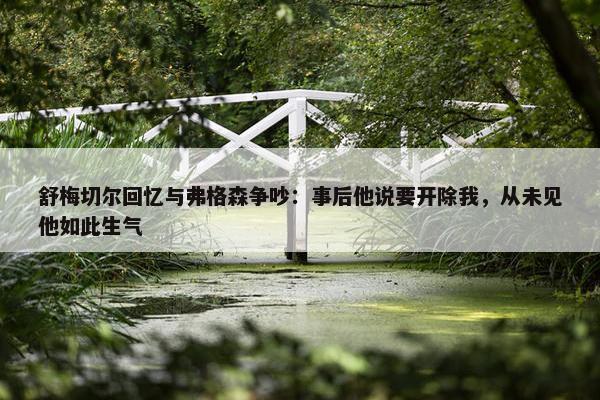 舒梅切尔回忆与弗格森争吵：事后他说要开除我，从未见他如此生气